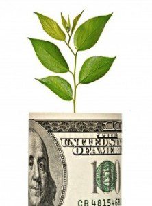 a graphic of a plant growing from a roll of money