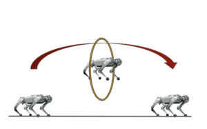 Visualization of a four-legged robot jumping through a hoop.