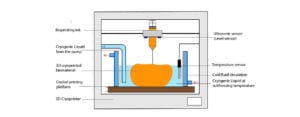 Precision Freezing 3D Bioprinter for Large Scale Tissue Engineering