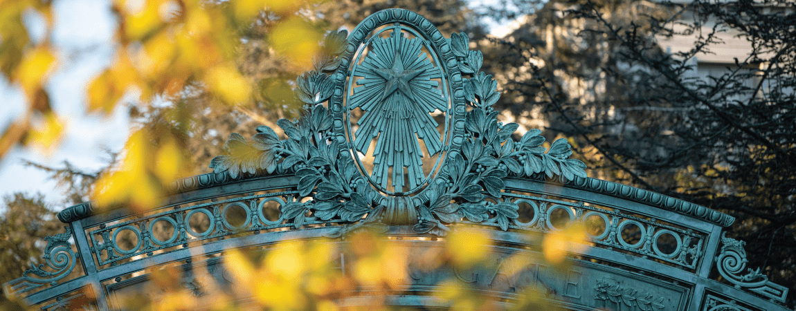 Sather Gate behind some fall leaves
